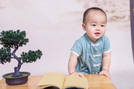 吕梁可爱的企鹅宝宝